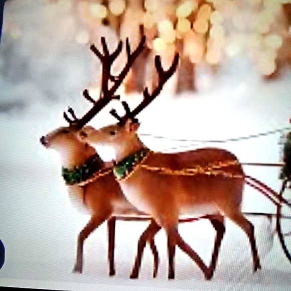 HOST PICK🦋Meet your Posher, Kobal' La - Picture 6 of 7